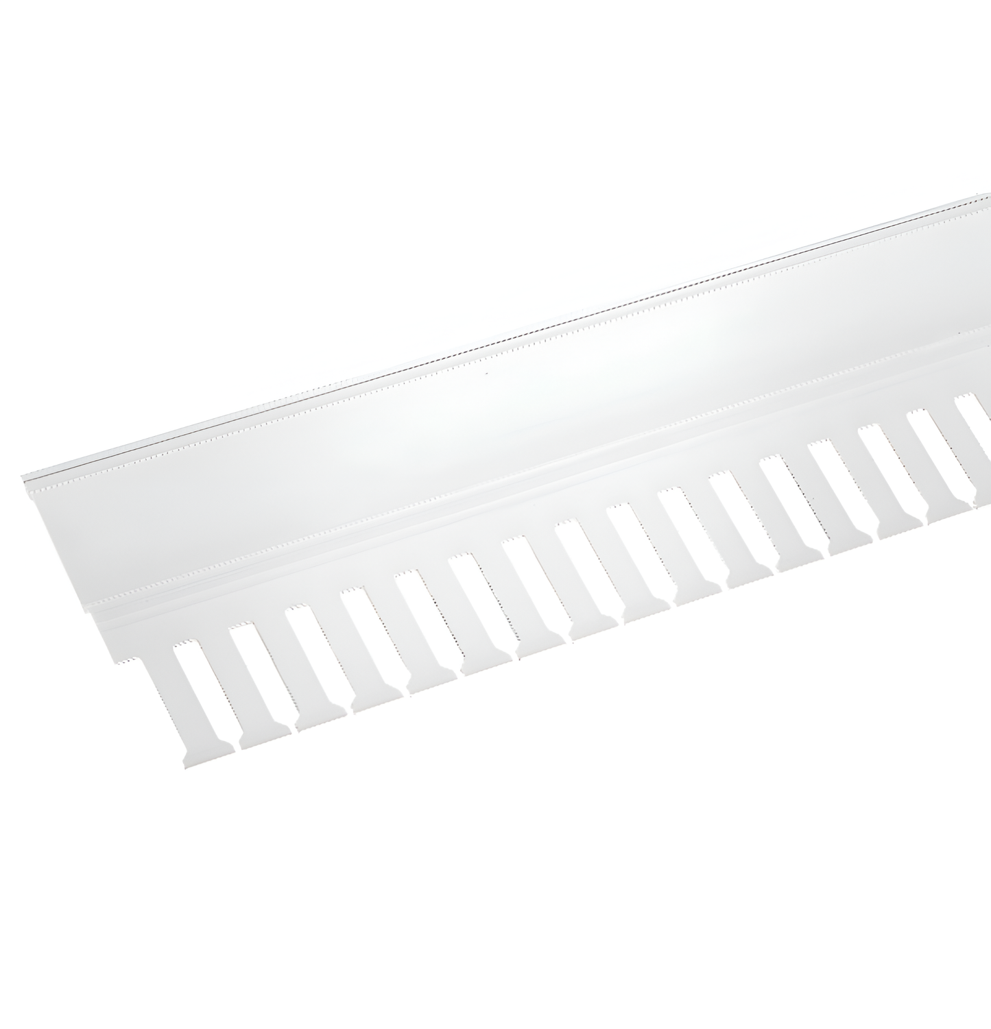 Woehner Cover Section (01417)