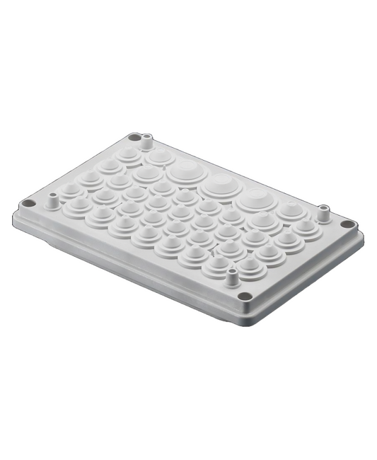 Rittal Cable Entry Gland for Roof Plate (9665.770)
