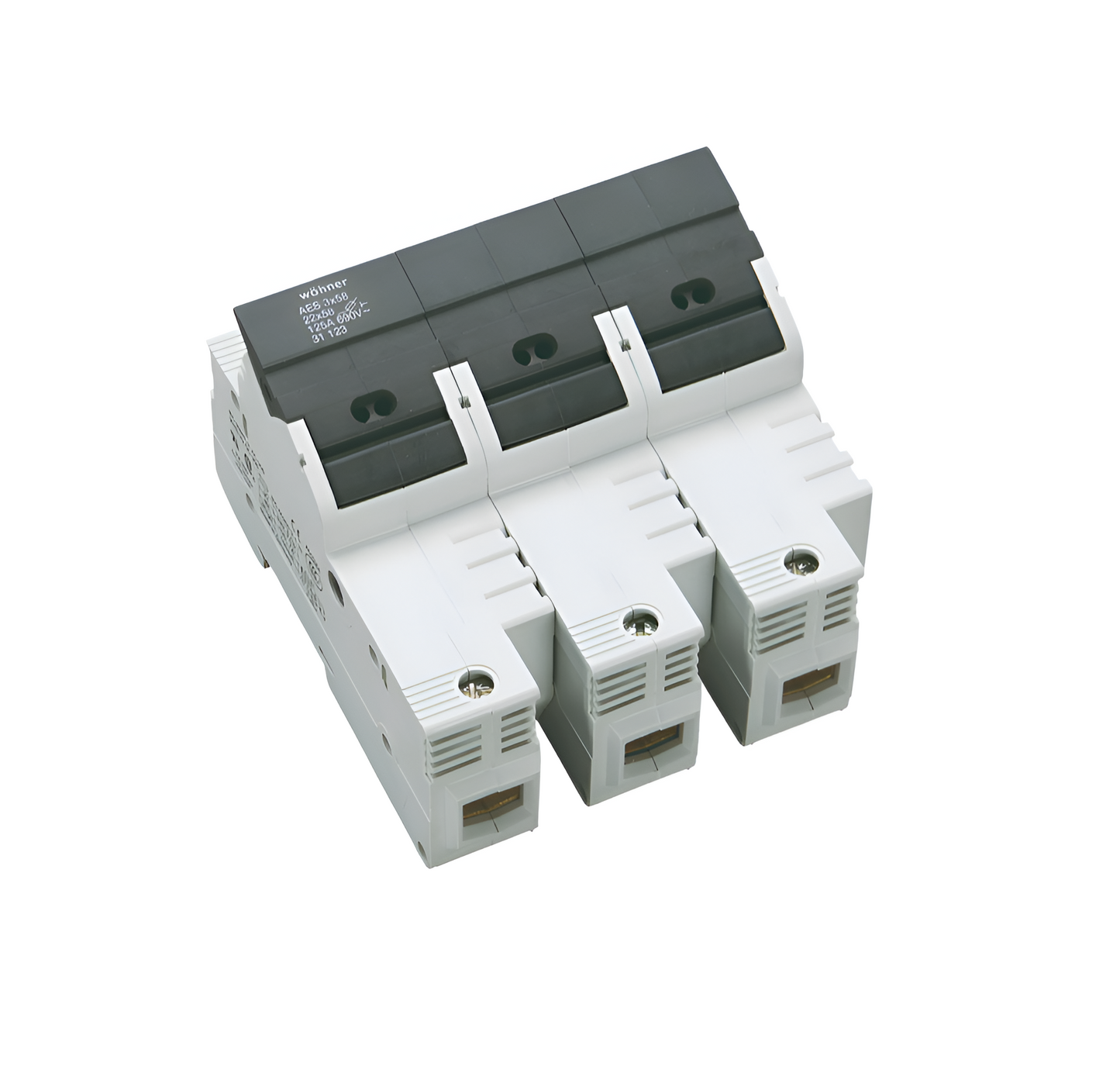 Holder for Cylindrical Fuses (31123)