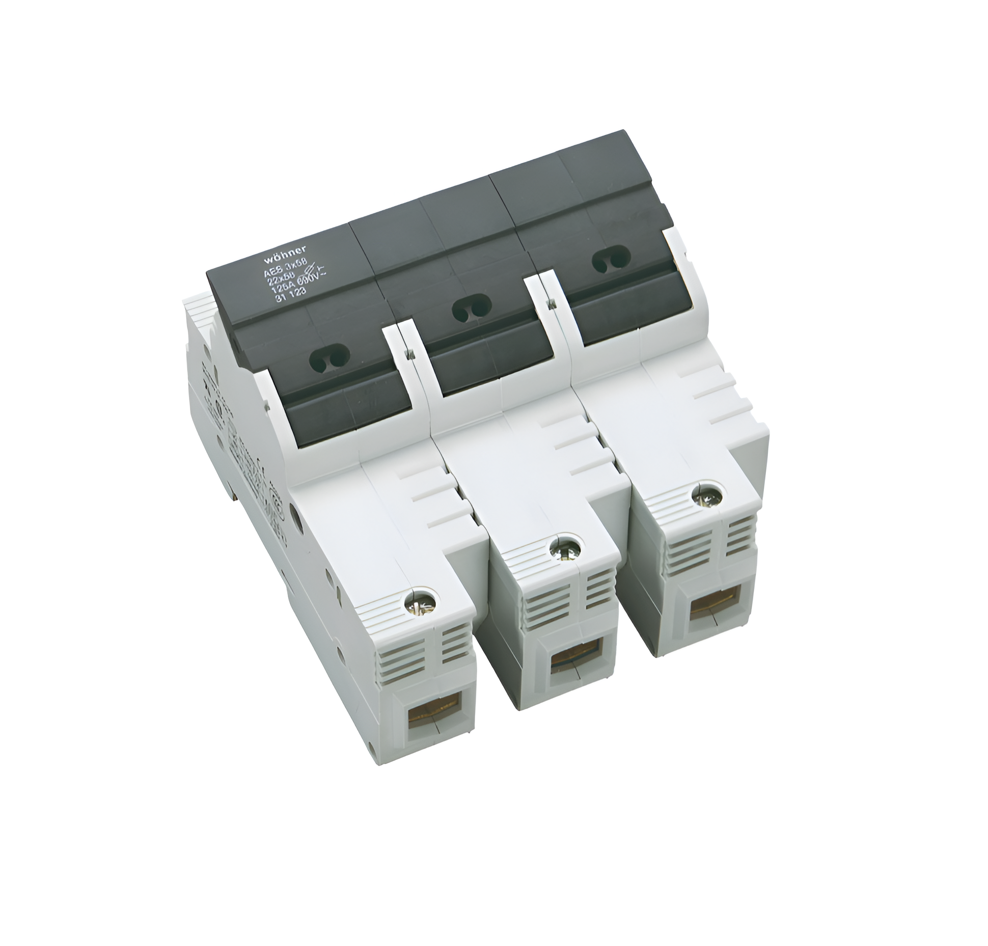 Holder for Cylindrical Fuses (31123)