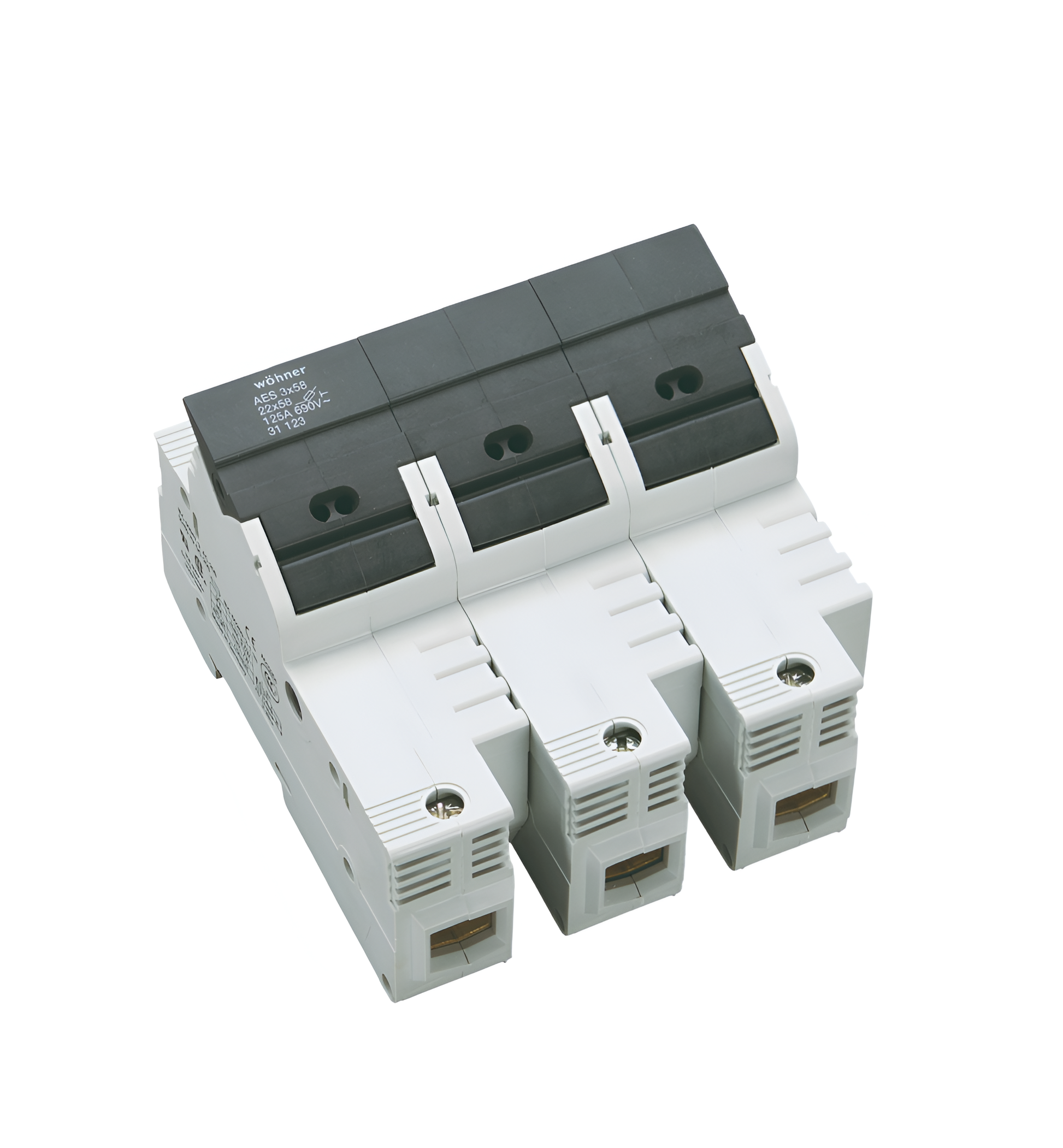 Holder for Cylindrical Fuses (31123)